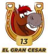 Caballo 13