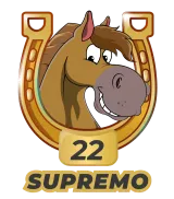 Caballo 22