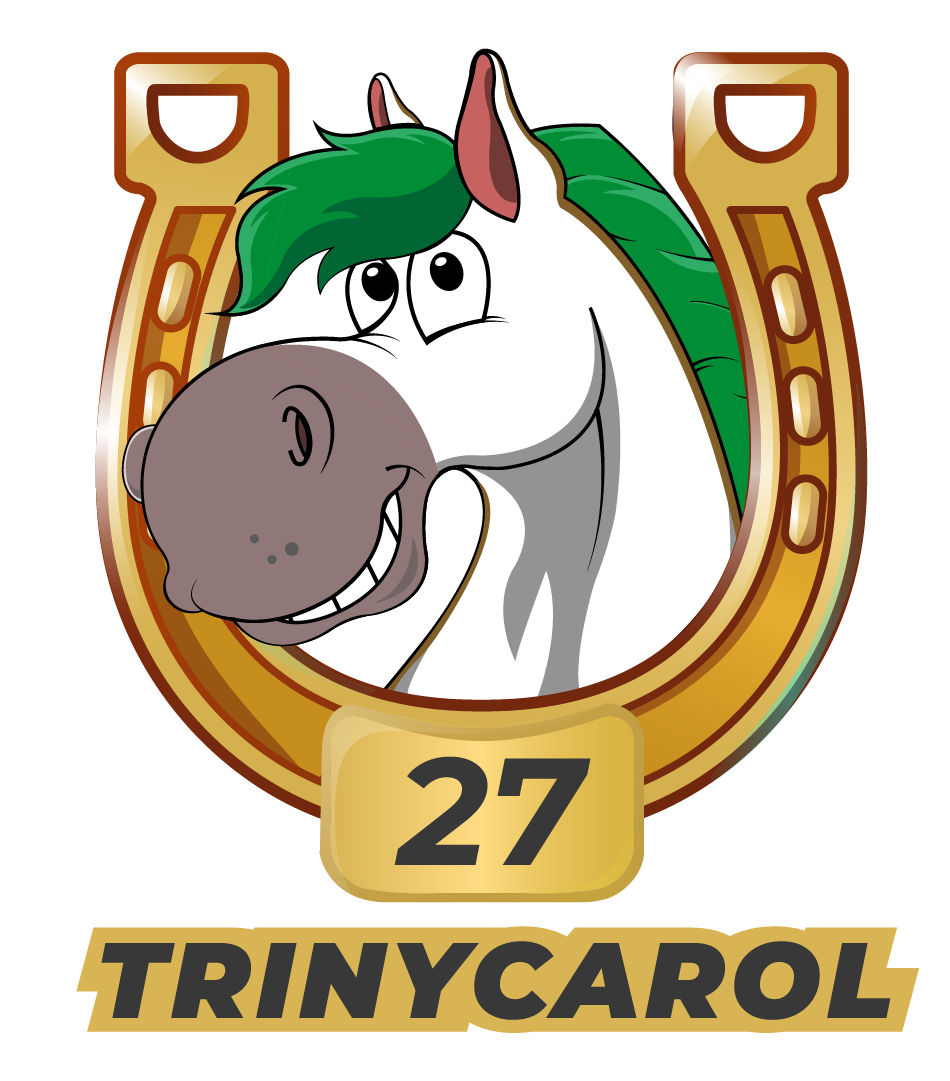 Caballo 27