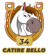 Caballo 34