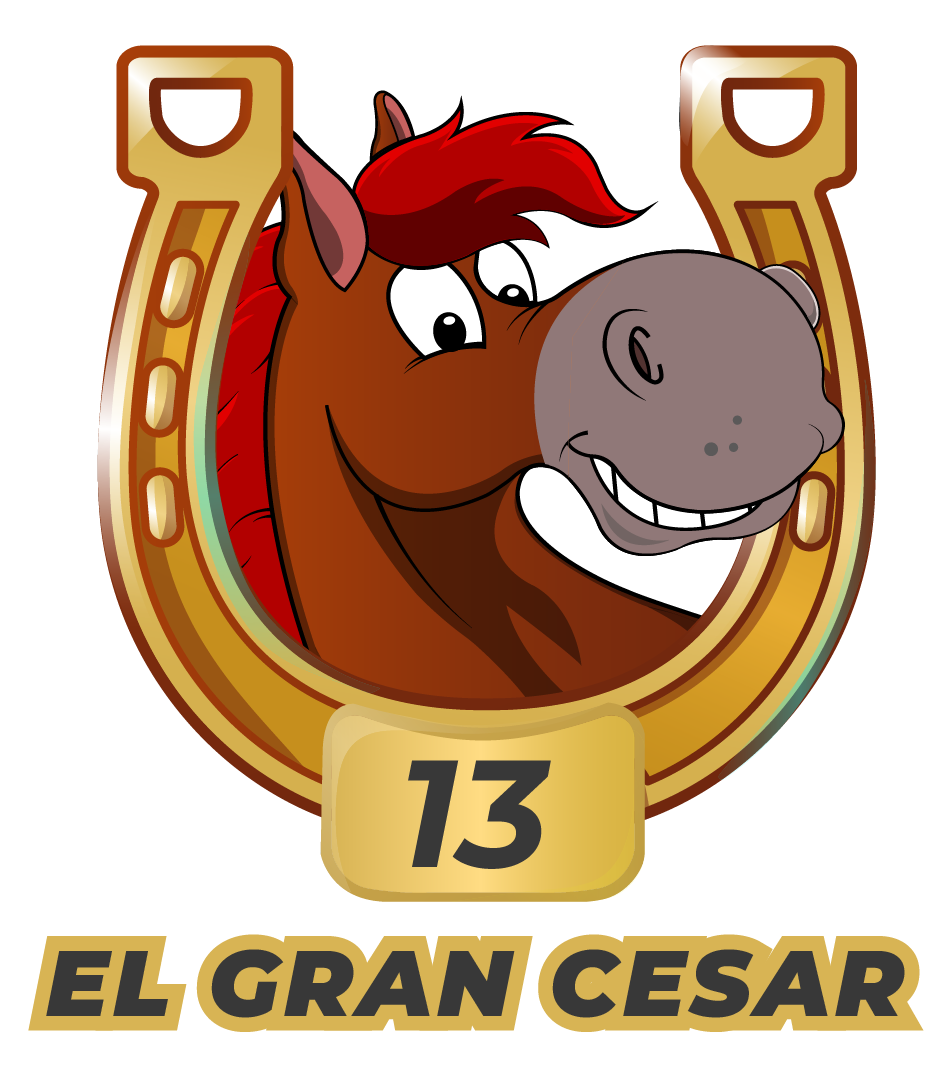 Caballo 13
